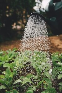 Jardinagem e Arborismo